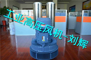 高效驱动的选择 SY ZKH82S-3真空增压鼓风机轴承性能与维护分析