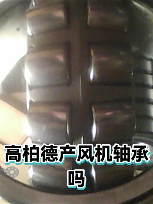 高柏德产风机轴承吗